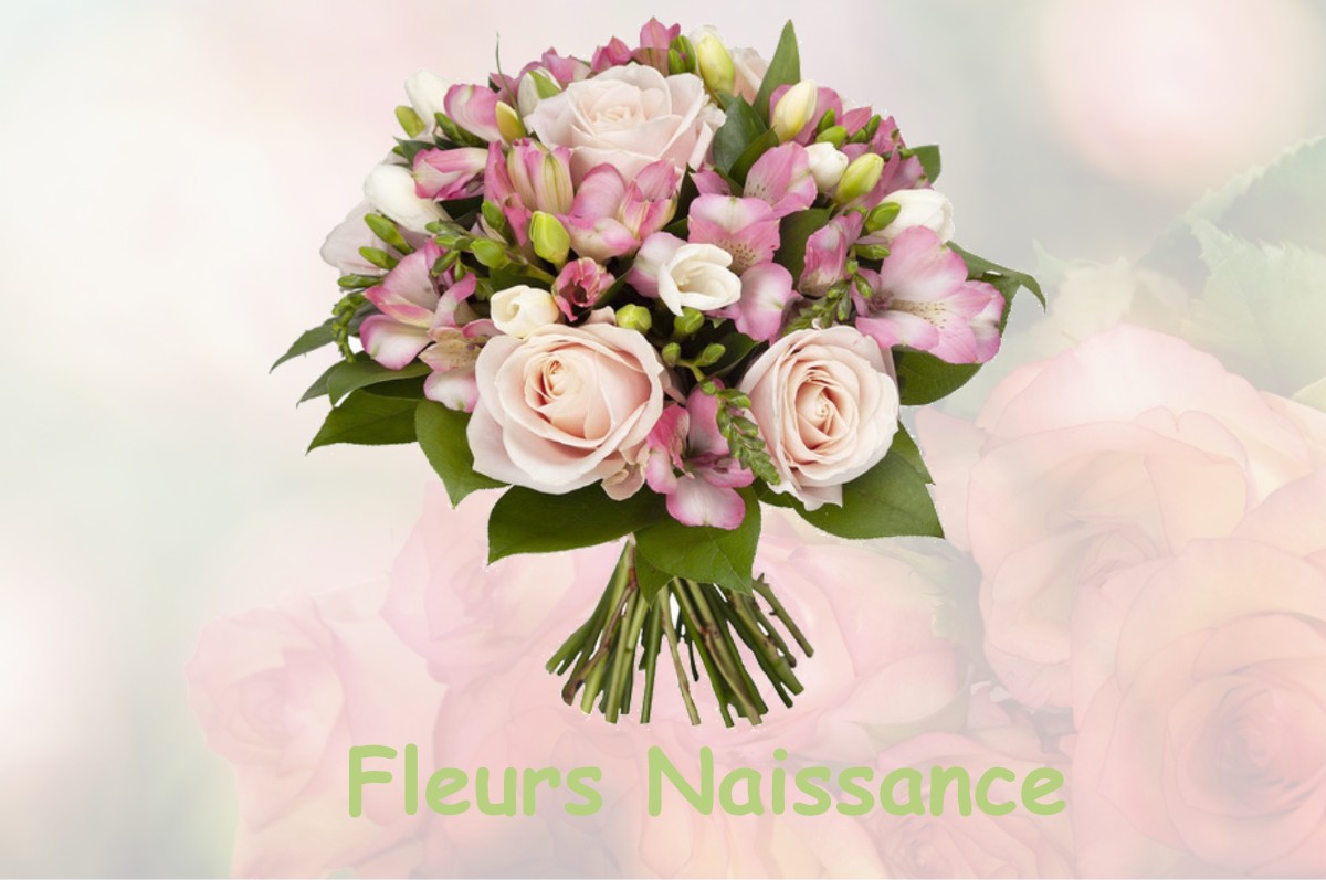 fleurs naissance SAINT-PIERRE-LE-VIEUX